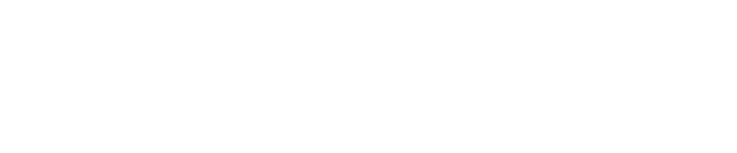 Vision Marshals